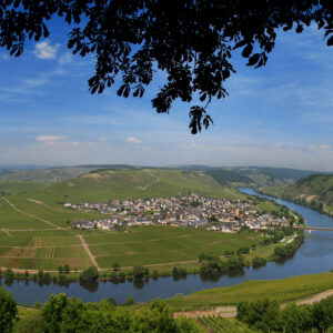 8. August 2026 mit den Weingütern Weingüter Christopf Eifel & Bollig²